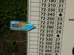 '04 LorettoBeeton Demo